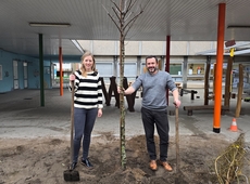 Schepen Glorie en Van Genechten plantten de eerste boom.