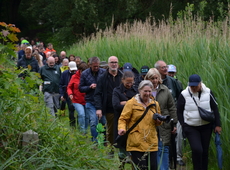 Heel wat wandelaars tekenden present